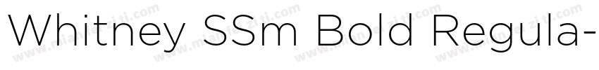 Whitney SSm Bold Regula字体转换